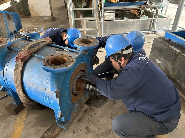 1734678154354453.jpg 王2.jpg